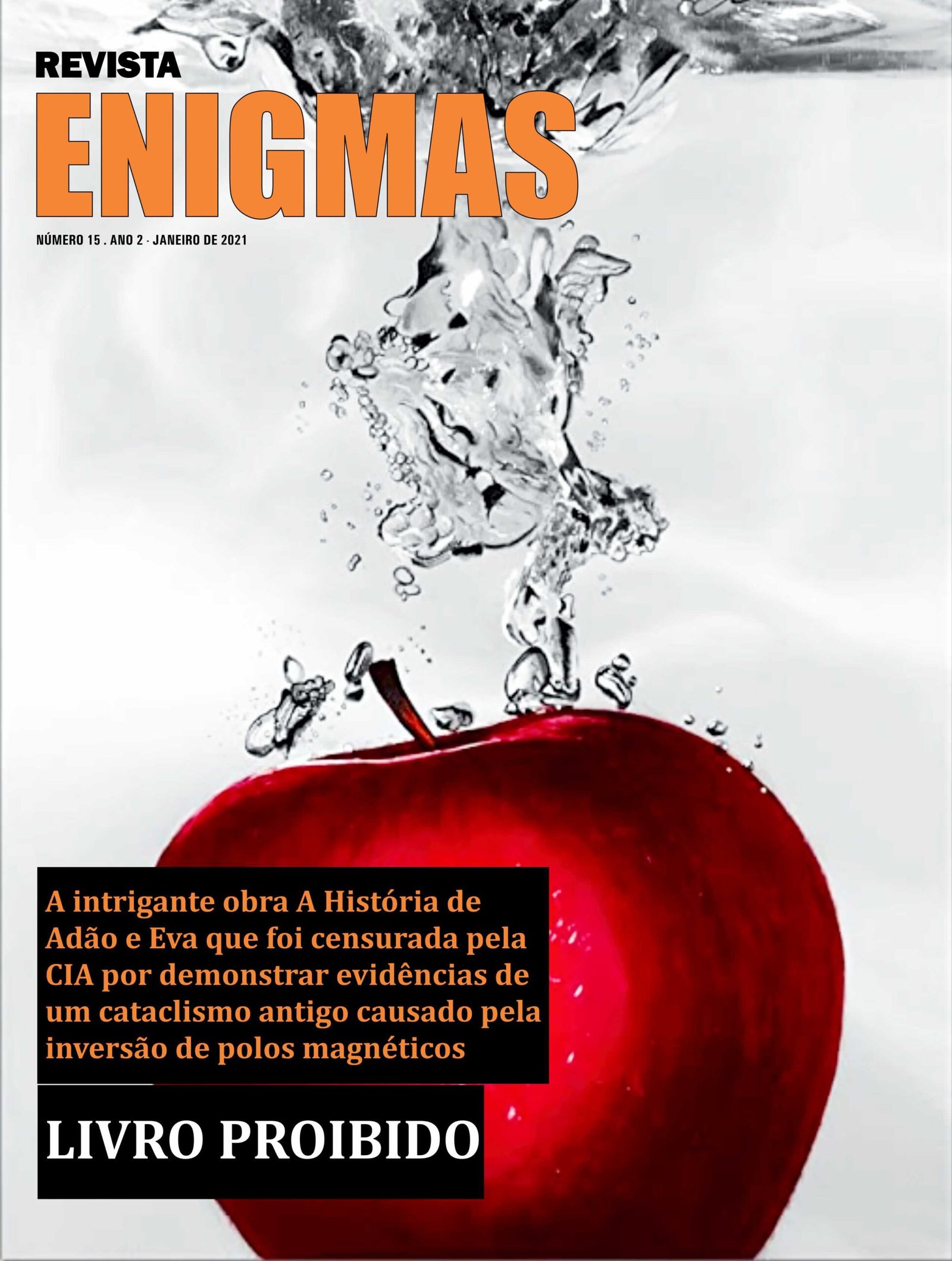 Edições - Revista Enigmas